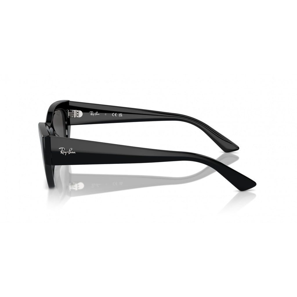 0RB4430 RAY-BAN