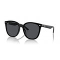 0RB4423D RAY-BAN