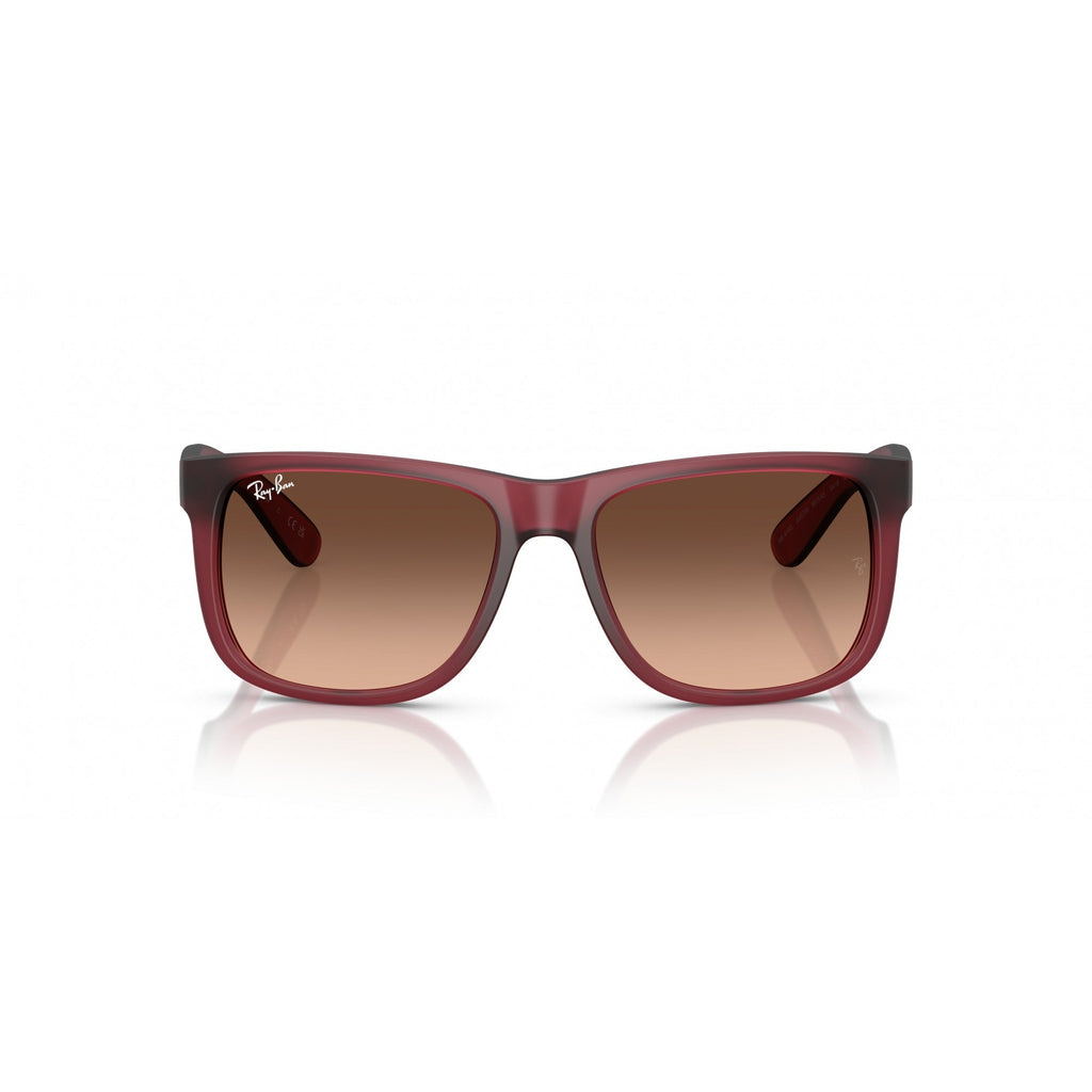 0RB4165 RAY-BAN