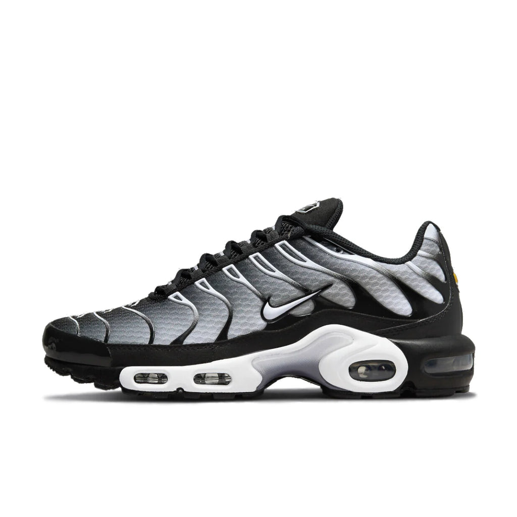 Nike Air Max Plus Black Silver White