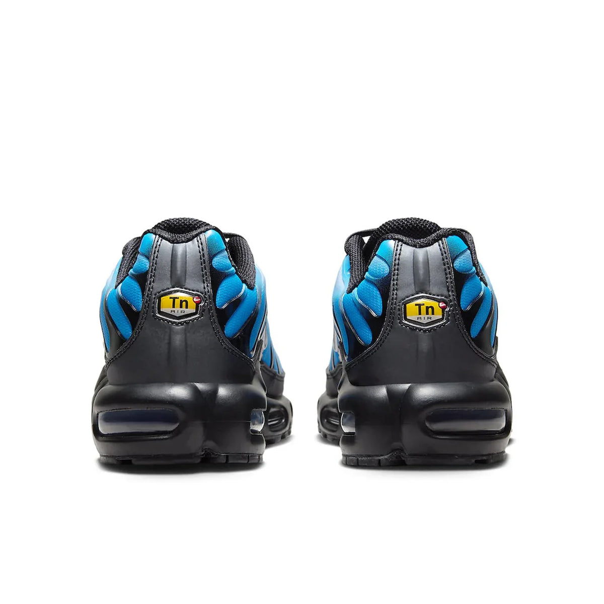 Nike Air Max Plus Blue Gradient